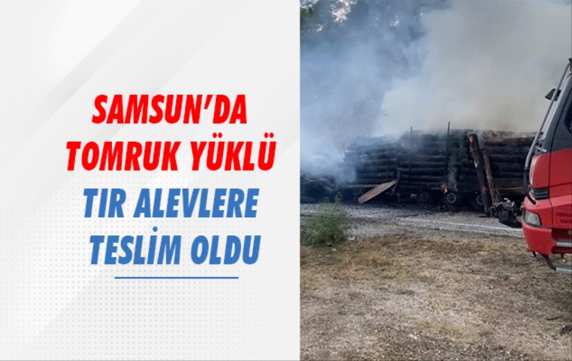 Tomruk yüklü tır alevlere teslim oldu