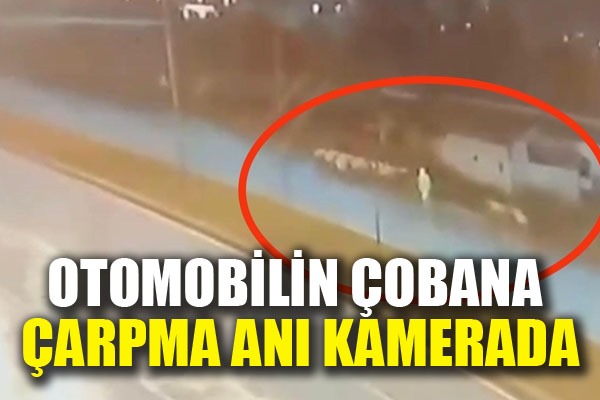 Otomobilin çobana ve sürüye çarpma anı kamerada