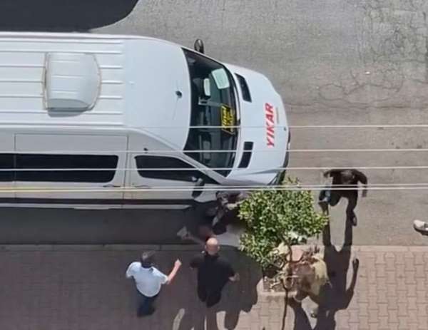 Adana'da bıçaklama anı saniye saniye görüntülendi