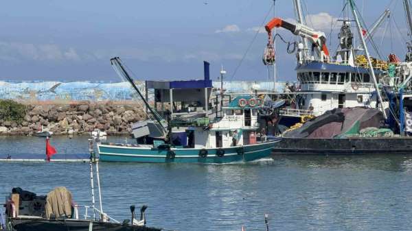 Balıkçılar, bol hamsi avı için havanın soğumasını bekliyor