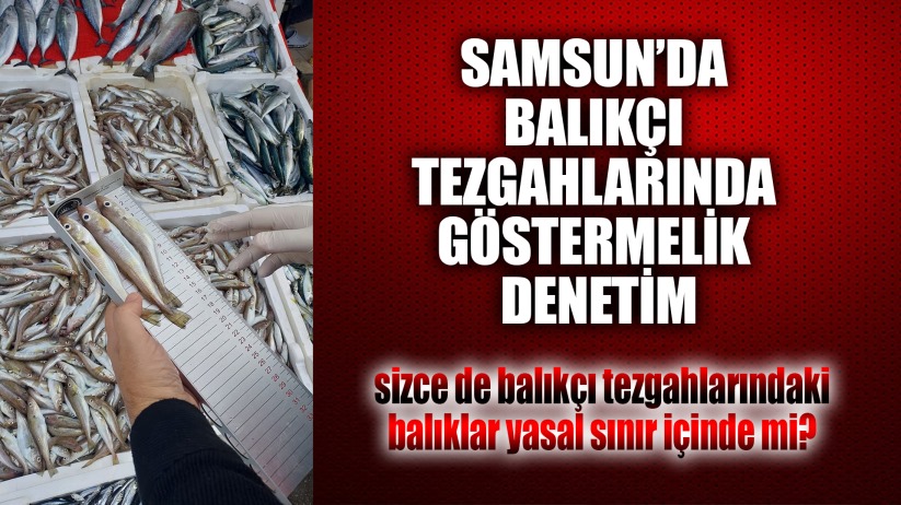 Samsun'da Balıkçı Tezgahlarında Göstermelik Denetim 