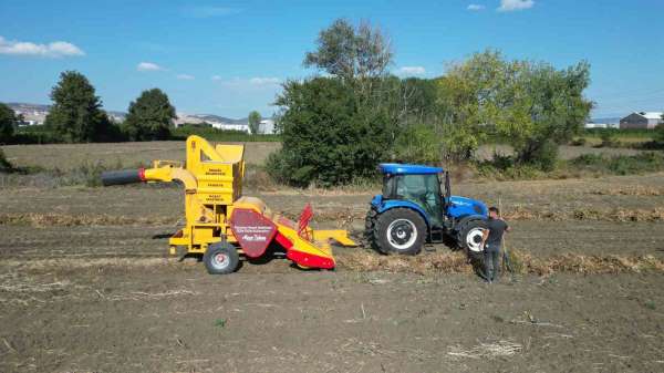 İnegöl'ün cerrah kuru fasulyesinde hasat zamanı