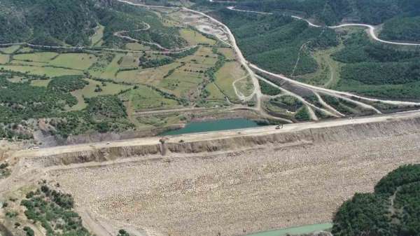 Yok olma tehlikesi bulunan 'bağ havacivası' bitkisi baraj suları altında kalmaktan kurtarıldı