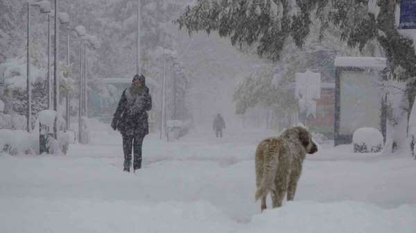 Rus kadın: 'Ordu'daki kar yağışı tıpkı Moskova gibi'