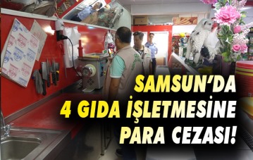 Samsun'da 4 gıda işletmesine para cezası