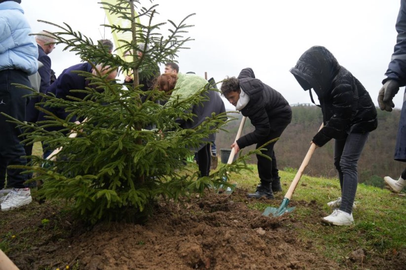 OMÜ'den ağaçlandırma seferberliği: Bin 200 fidan toprakla buluşacak