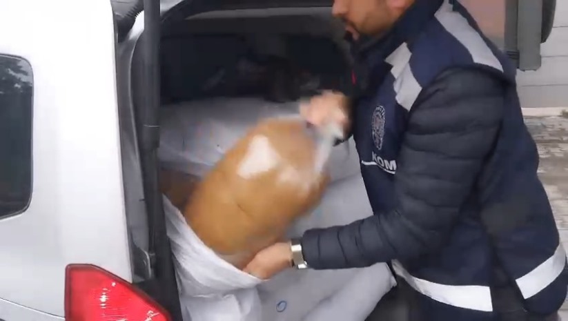 Samsun'da 240 kilo kaçak tütün ele geçirildi