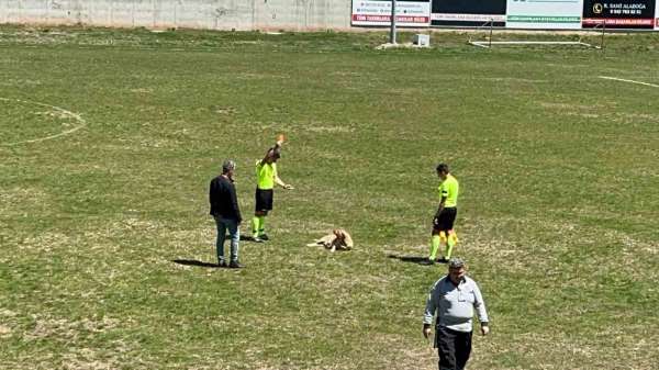 Amatör müsabakada sahaya giren köpeğe kırmızı kart