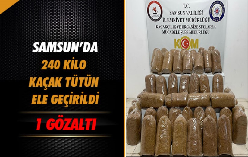 Samsun'da 240 kilo kaçak tütün ele geçirildi
