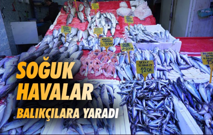 Samsun'da soğuk havalar balıkçılara yaradı
