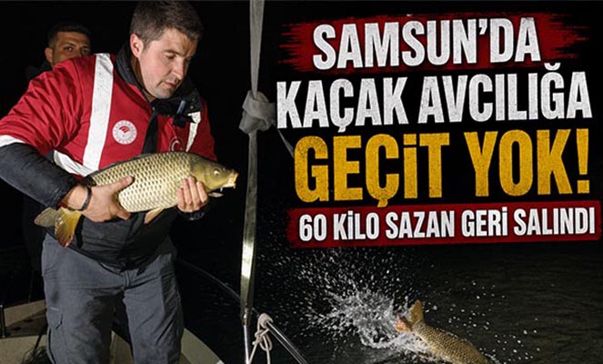 Samsun'da kaçak avcılığa geçit yok: 60 kiloluk sazan geri salındı