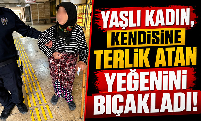 Yaşlı kadın, kendisine terlik atan yeğenini bıçakladı