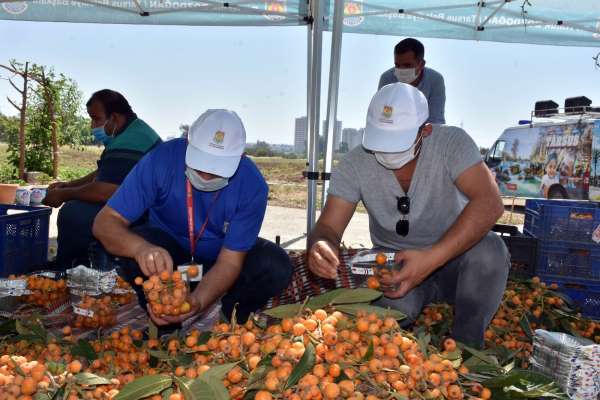 Tarsus Belediyesi, 12 ton yenidünyayı vatandaşlara ücretsiz dağıttı