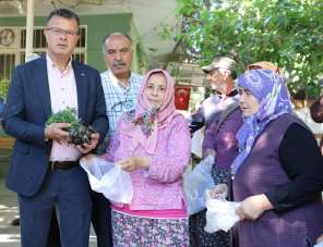 Alaşehir Belediyesi 210 bin fide dağıttı