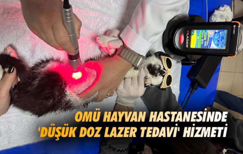 Samsun OMÜ Hayvan Hastanesinde 'düşük doz lazer tedavi' hizmeti
