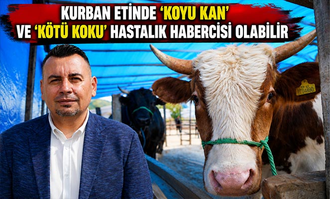 Kurban etindeki 'koyu kan' ve 'kötü koku' hastalık habercisi olabilir