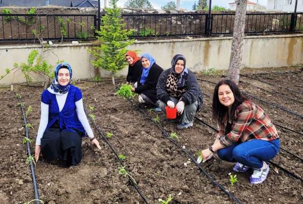 Altıntaş'ta öğretmenler domates fidelerini toprakla buluşturdu