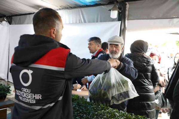 Ordu Büyükşehir, 7 yılda 5 milyona yakın fide dağıttı