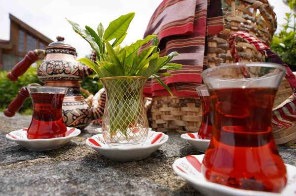 Rize'de Dünya Çay Günü etkinliği