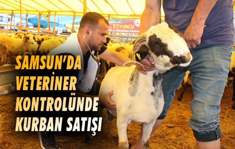 Samsun'da veteriner kontrolünde kurban satışı