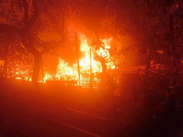 Sinop'ta 2 ev, 2 ahır, 1 ambar ve 1 mobilya atölyesi yanarak kül oldu