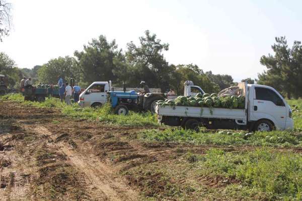 Çukurova'dan sonra Türkiye'nin gözü burada