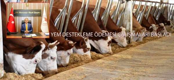 Yem destekleme ödemesi çalışmaları başladı 
