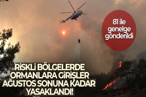 Orman yangını için riskli bölgelere girişler 31 Ağustos'a kadar yasaklandı