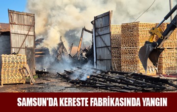 Samsun'da kereste fabrikasında yangın