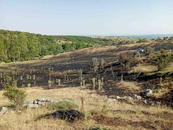 Tokat'ta örtü yangını: 15 dönüm ekili arazi küle döndü