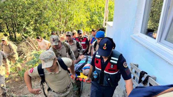 Sinop'ta kaybolan Alzheimer hastası vatandaş sağ bulundu