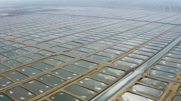 Tarıma Dayalı İhtisas Su Ürünleri Organize Sanayi Bölgesinde ön talep süreci başladı