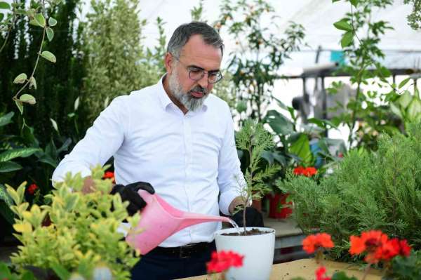 Türkiye'nin süs bitki ihtiyacının yüzde 60'ını karşılayan Kestel, gövde gösterisine hazırlanıyor