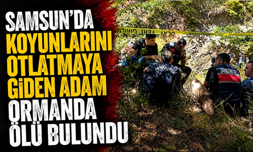 Samsun'da koyunlarını otlatmaya giden adam ormanda ölü bulundu