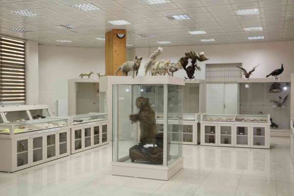 Pandemi sonrası Dicle Üniversitesi'nde Zooloji Müzesi ziyaretçilerini bekliyor - Diyarbakır haber