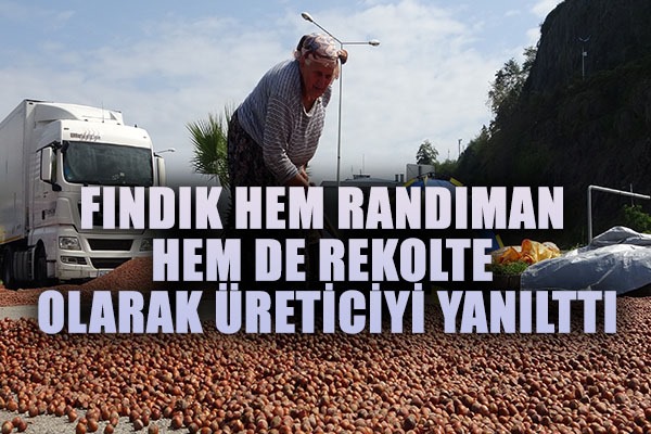 Fındık hem randıman hem de rekolte olarak üreticiyi yanılttı