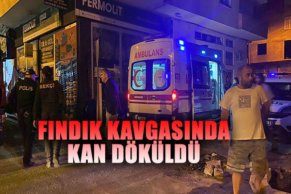 Ordu'da fındık meselesi yüzünden kavga: Eski muhtar bıçakla yaralandı