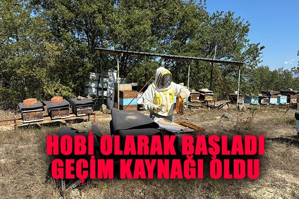 Hobi olarak başladı, kilosu 400 TL'den 500 kilo bal üretiyor