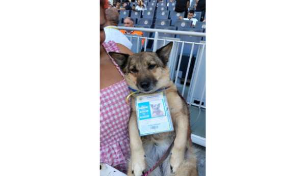 Fenerbahçe başkanlık seçiminde oy kullanma sona erdi