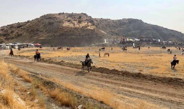 Mardin'de rahvan atları yarıştı 