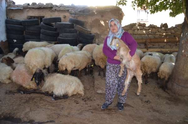 Siirtli kadın çiftçinin projesi Türkiye ikincisi oldu 