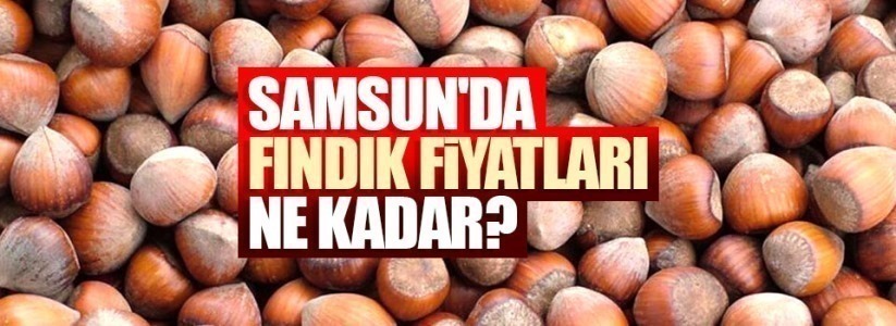 Güncel fındık fiyatları! 21 Ekim Çarşamba fındık fiyatları ne kadar?