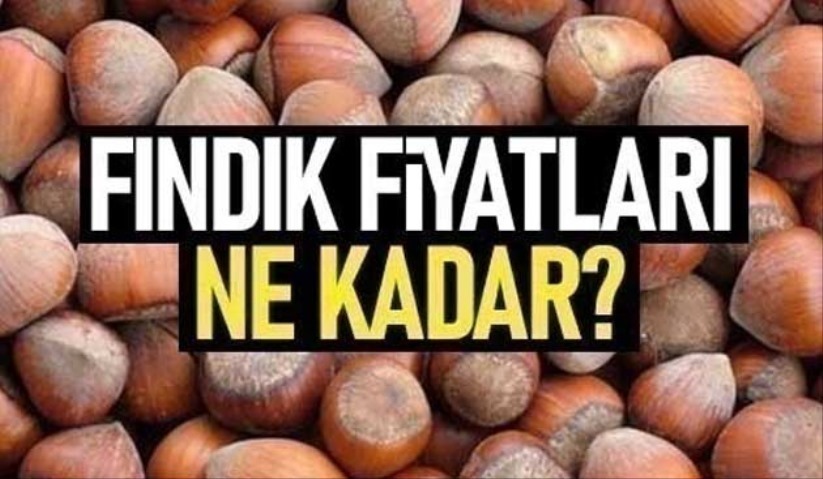 Samsun Da Findik Fiyatlari Ne Kadar 22 Ekim Cuma Findik Fiyatlari