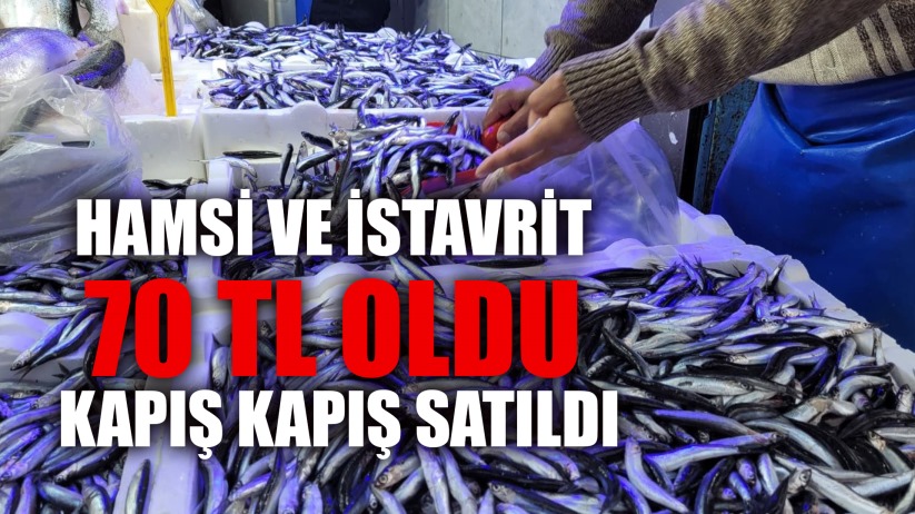Samsun'da hamsi ve istavrit 75 TL