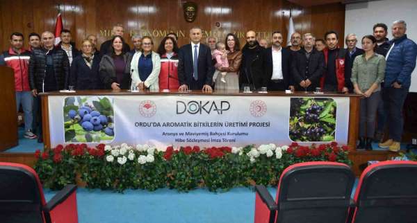 Ordu'da maviyemiş ve aronya üretim alanı 180 dekara ulaşıyor