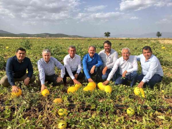 Tezgahlarda 10 liraya satılan Acıpayam kavunu tescillendi