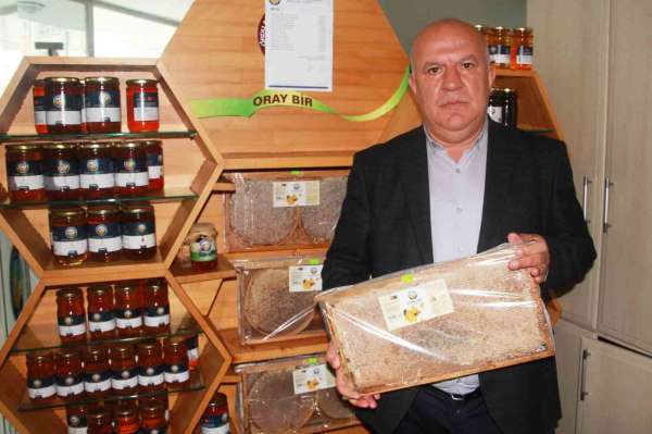 Ordu'da 17 bin ton bal üretildi