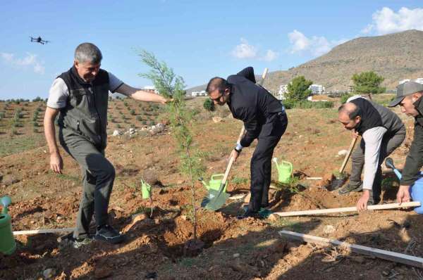Silifke'de Şehit Savcı Mehmet Selim Kiraz Hatıra Ormanı yeniden yeşilleniyor