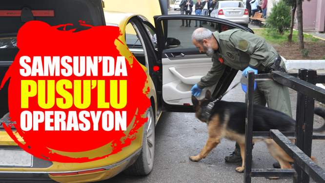 Samsun Haberleri: Samsun'da 'Pusu'lu Operasyon