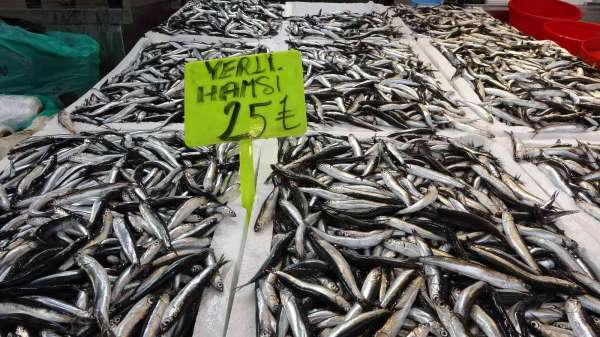 Hamsi avı bollaştı, fiyatı yarı yarıya düştü - Trabzon haber